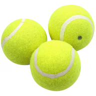Теннисные мячи с пищалкой Pet Nova 6 см 3 шт - Качественные Теннисные мячи с пищалкой Pet Nova 6 см 3 шт